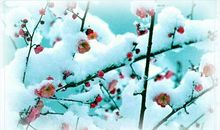 只想收获一缕春风