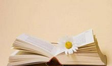 书香年华的等待