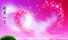 感恩的花开在人生的路上