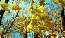 生命之真谛——追逐