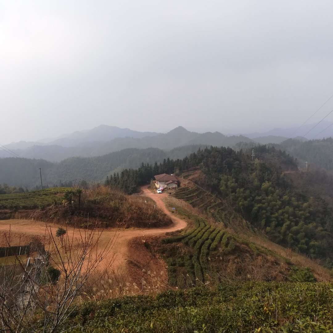 故乡山
