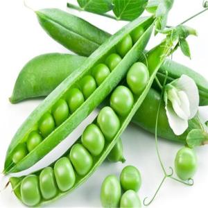 我和豌豆一样大