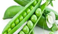 我和豌豆一样大