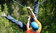 有趣的丛林探险