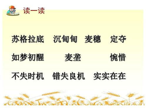关于“小麦的最大耳朵”的思考