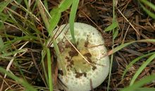 寻找生命的真谛