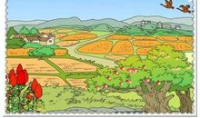 秋天的图画作文二年级