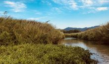 我最关心内心那缕舒爽的阳光