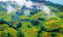 那份温情，令人难忘