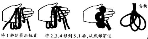 生存训练的纽带