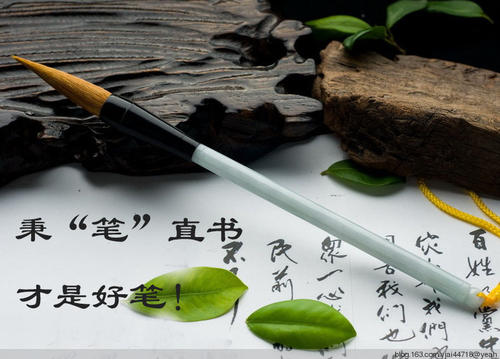 如果我是一支笔