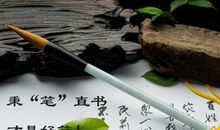 如果我是一支笔