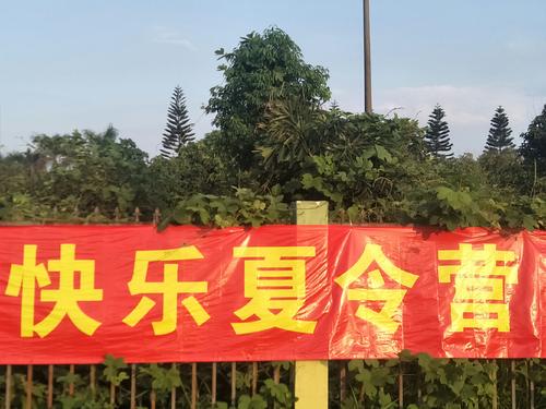 从目标开始