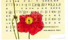 梦回那段好时光