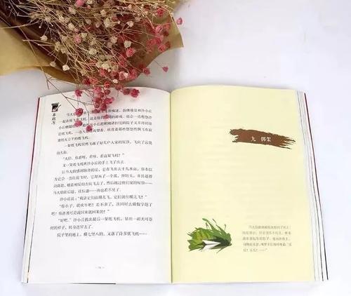 曹X湾