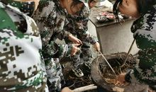 一次难忘的军训汇演