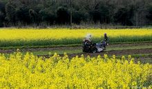 淅淅沥沥的小雨——我的最爱