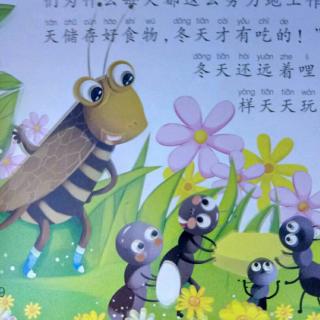 蚂蚁和板球