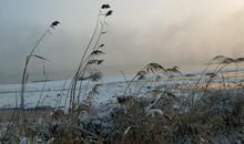 渴慕邂逅一场雪
