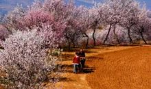 记忆深处的乡村