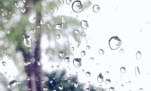如雨_550字