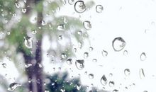 喜欢下雨_550字