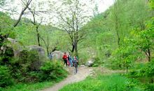 我和大自然的亲密接触