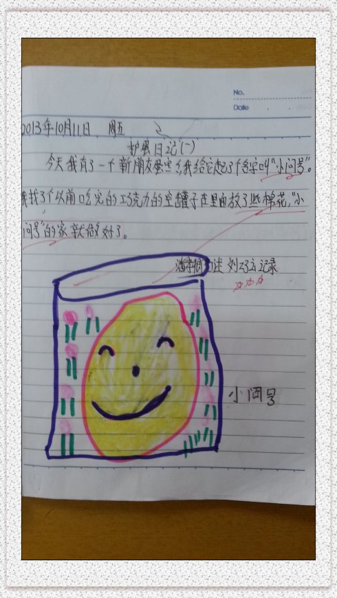 蛋卫士日记