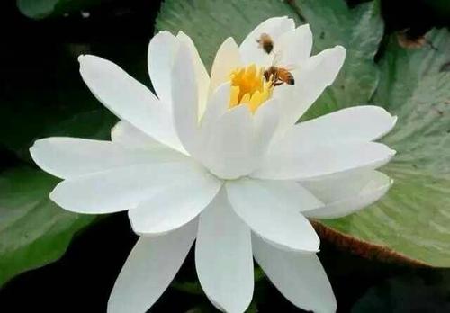 享受一块安然