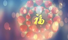 爱填满生命与生命的距离