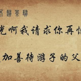 请减速慢行