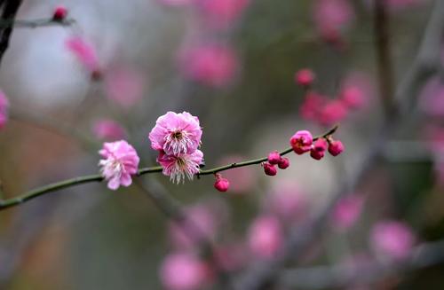 春风