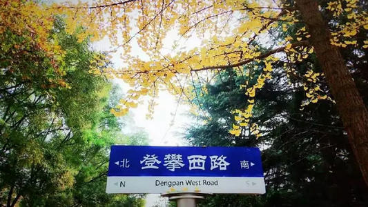 讲树