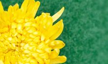 珍惜幸福的生活