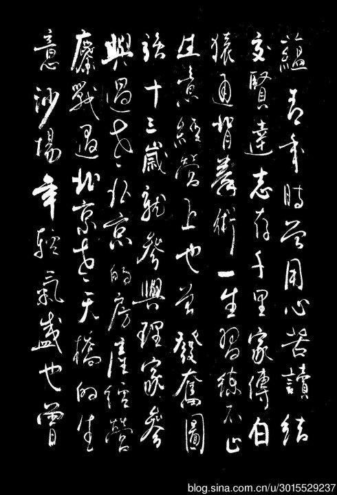 小金鱼