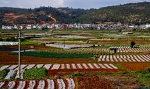 美丽富饶的百色