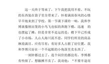 关于跳蚤市场的作文