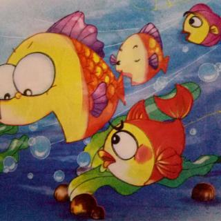 “大鱼小鱼”的延续