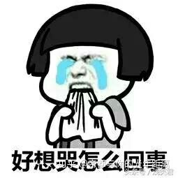 我真的不应该
