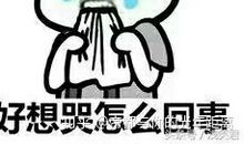 那次我真不应该