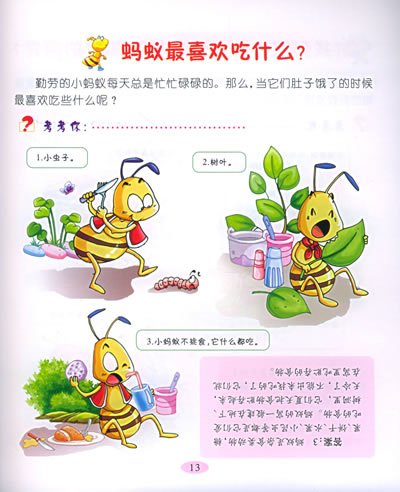 我是蚂蚁