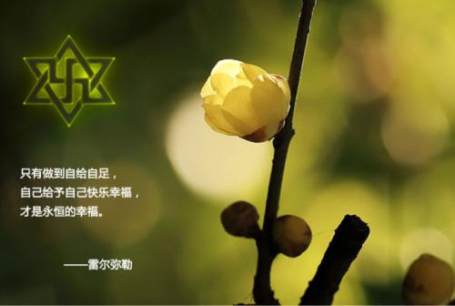 我了解幸福