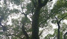 与你同行，真好