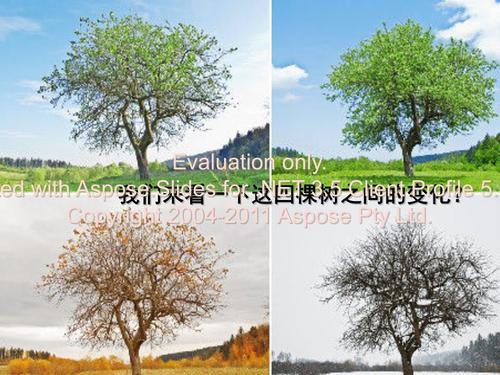 四个季节的歌