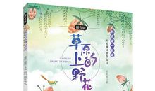 感受书中的美好