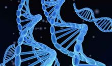 假如基因可以改变