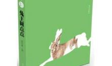 兔王圆点点读后感