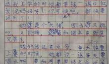 关于同学打架的作文