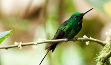 这也是一种美丽