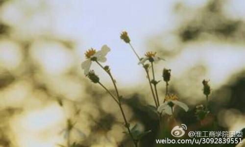 像太阳一样温暖